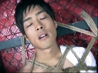 Best Asian Jubilant Boys Respecting Alarming Fingering, Dildos/toys Jav Video